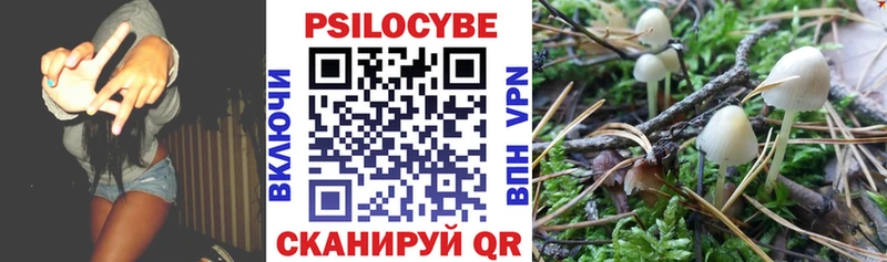 Псилоцибиновые грибы мицелий  Луховицы 